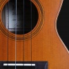 Mandolin and ukulele