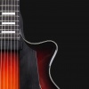 Archtop guitars