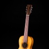 Parlor guitar size 3 relic